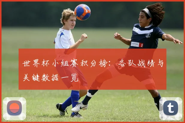 世界杯小组赛积分榜：各队战绩与关键数据一览