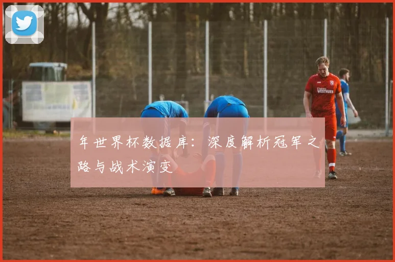 年世界杯数据库：深度解析冠军之路与战术演变