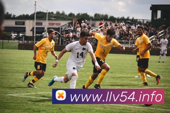 九游体育在线登录入口平台生态图